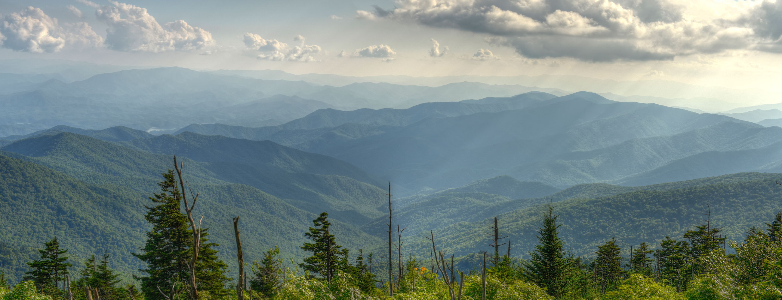 Quince Beauty Hub Quince Beauty Hub